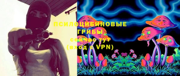 прущая мука Бородино