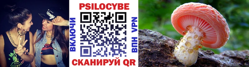 blacksprut зеркало как найти наркотики Каневская Псилоцибиновые грибы MAGIC MUSHROOMS